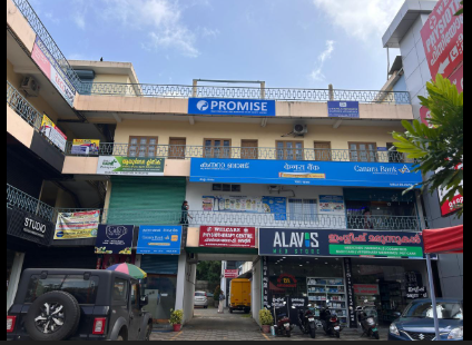 promise society